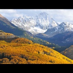 Meet your Posher, Jacki